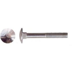 Kapupánt csavar 6x100