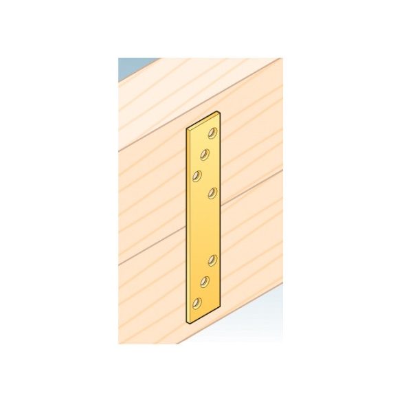 Összekötő lemez 30*170*4